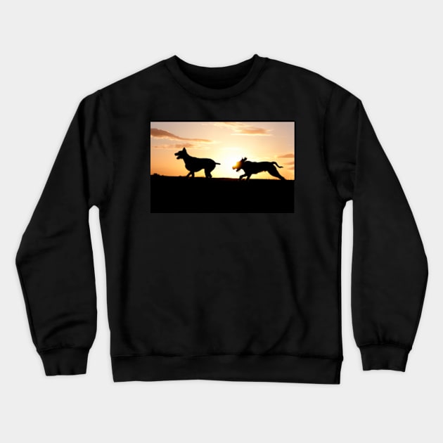 Italian Spinone Sundog Crewneck Sweatshirt by heidiannemorris